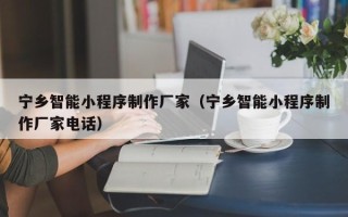 雅安宁乡智能小程序制作厂家（宁乡智能小程序制作厂家电话）
